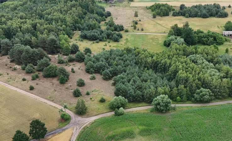 działka na sprzedaż - Bukowiec, Tuszynki