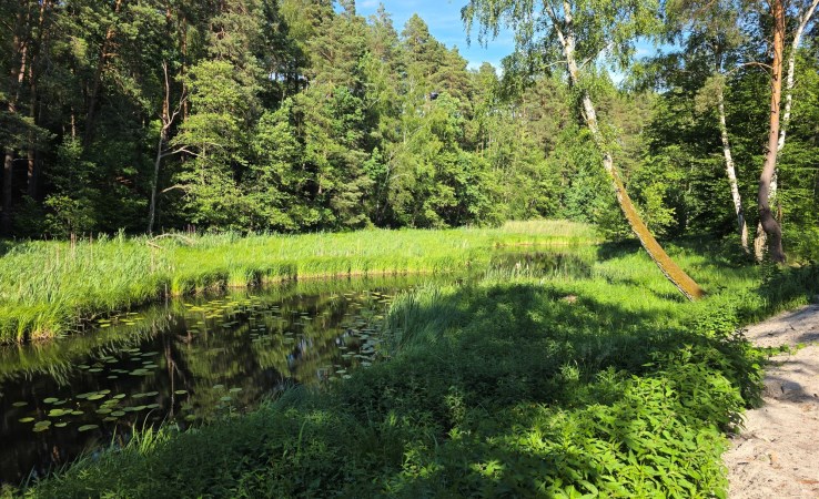 działka na sprzedaż - Koronowo (gw), Nowy Jasiniec